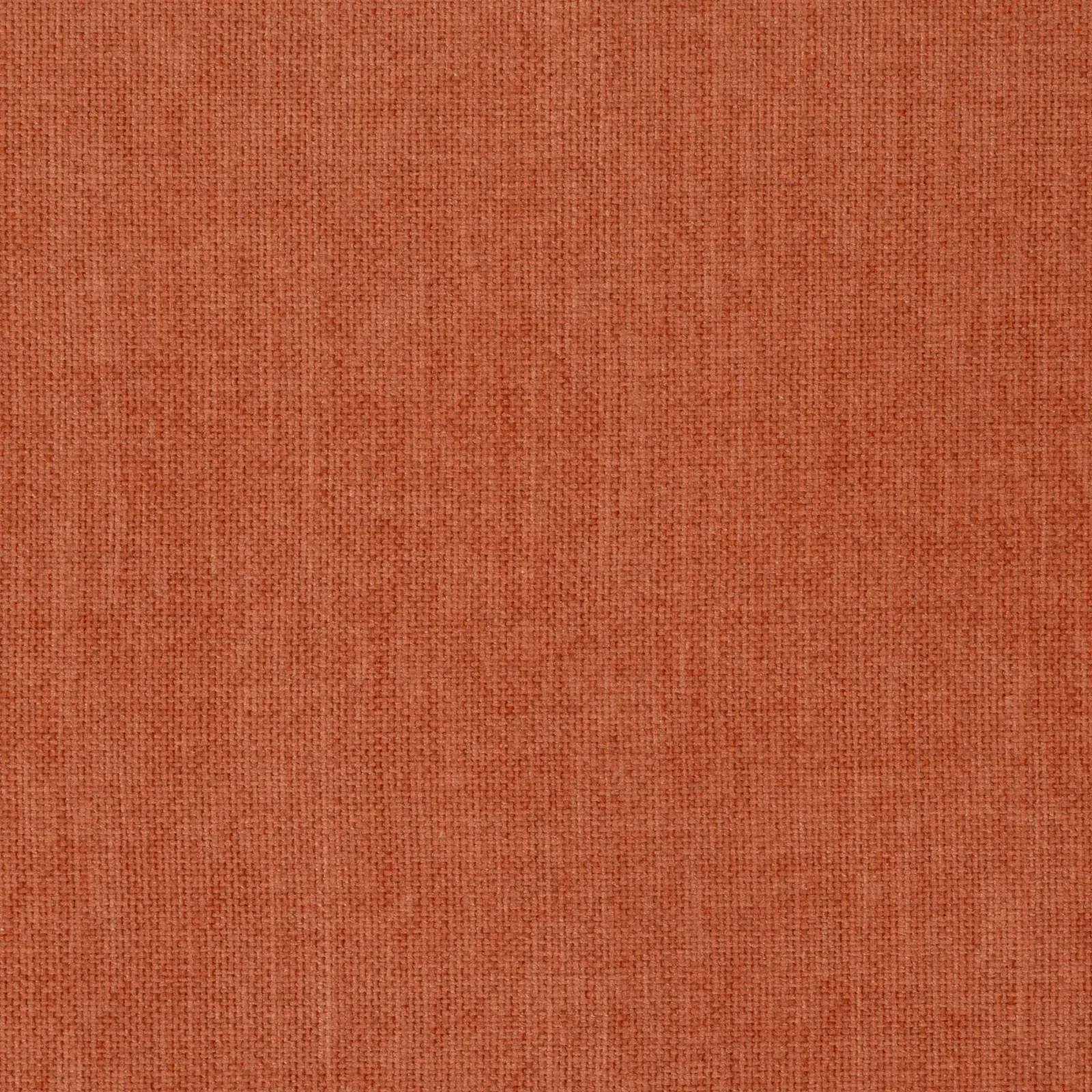 Apricot Brandy 18
