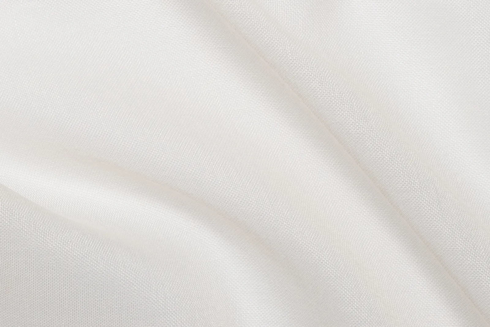 Coconut Milk 19
