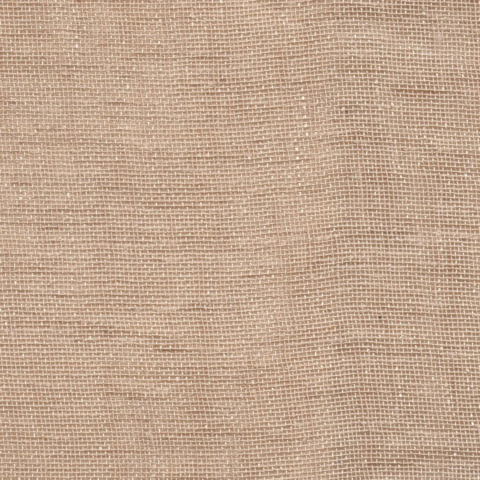 Sand 202
