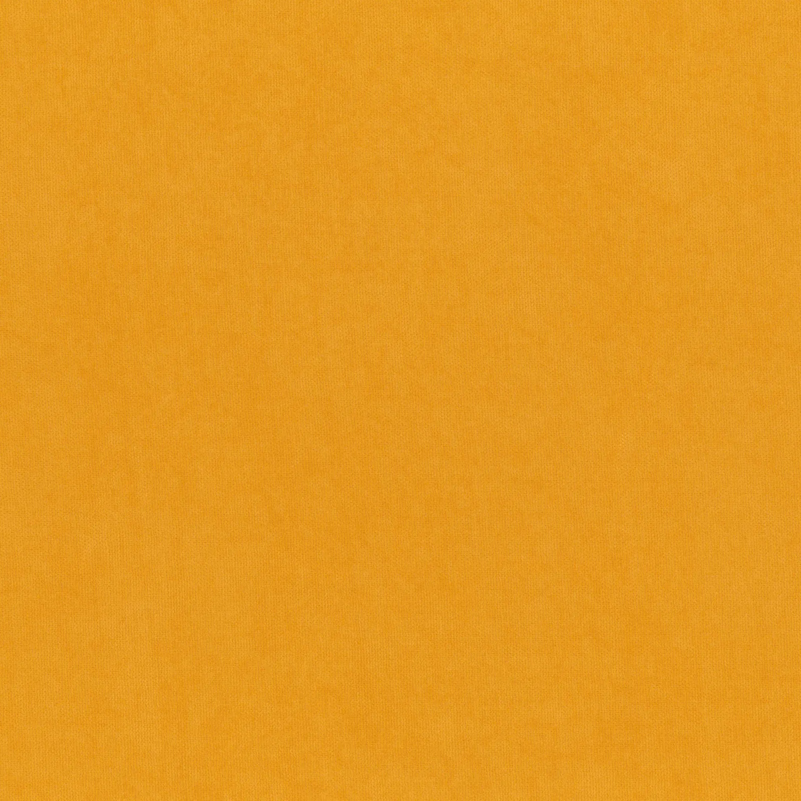 Golden Rod 344